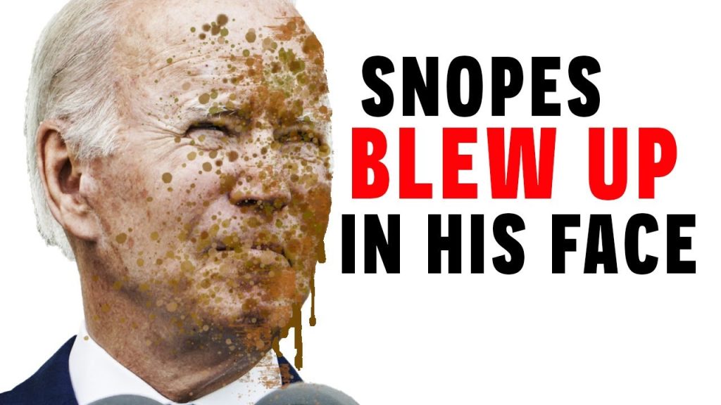 Snopes HUMILIATED As Trump Calmly Speaks Facts