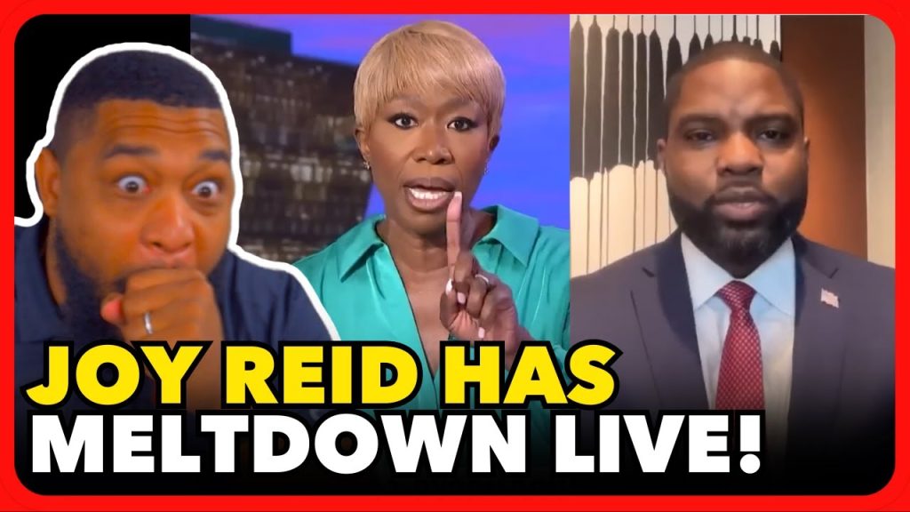 Byron Donalds DESTROYS Joy Reid Over His “Jim Crow” Comments