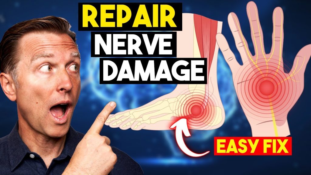 Research Reveals: This Repairs Nerve Damage