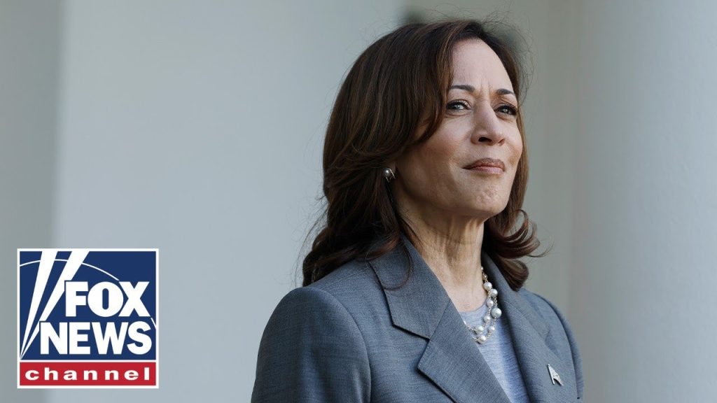 Kamala Harris has made a ‘big mistake’ in final days of campaign, Karl Rove says