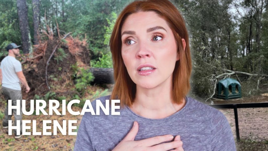 Hurricane Helene update… we weren’t prepared for this.