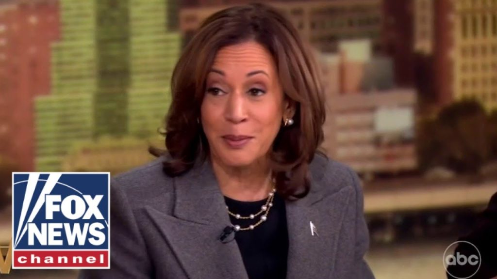 VP Harris roasted for ‘wholly tone-deaf’ ‘View’ appearance