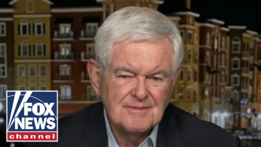 Newt Gingrich: The left cannot defend this