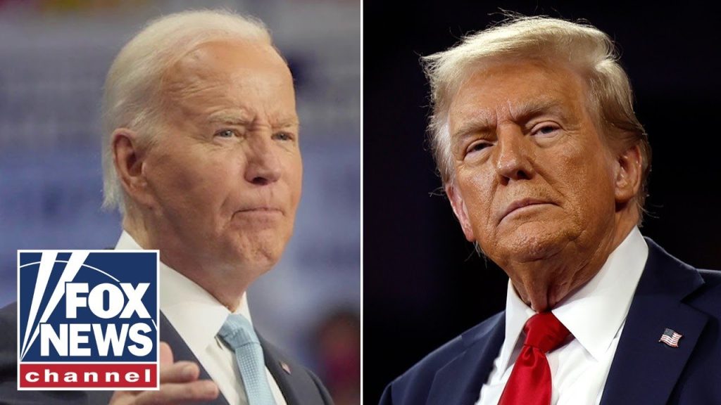 Biden raises eyebrows with election claim: ‘Temper tantrum’