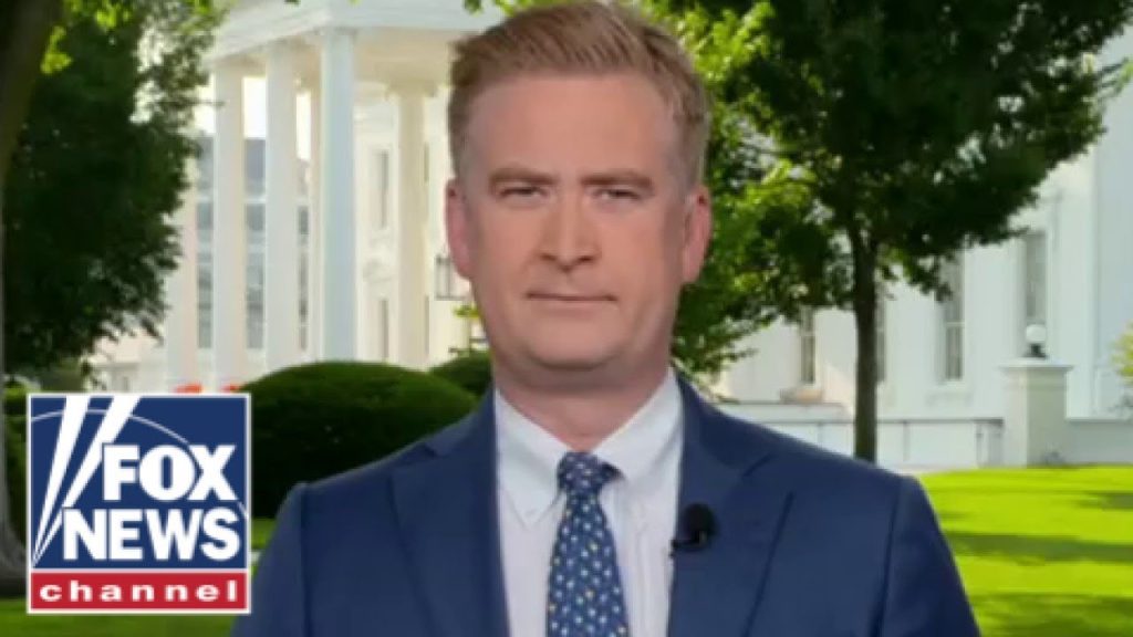 Peter Doocy reveals what Trump plans to do with Tesla amid Musk feud