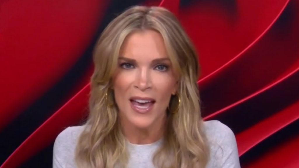 ‘F***ing stupid’: Megyn Kelly blasts Vanity Fair for ‘alienating’ half of America