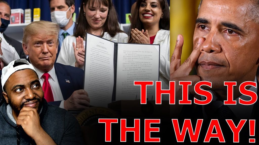 Liberals PANIC Over BOMBSHELL Trump Proposal To DESTROY CORRUPT Democrat Monopoly!