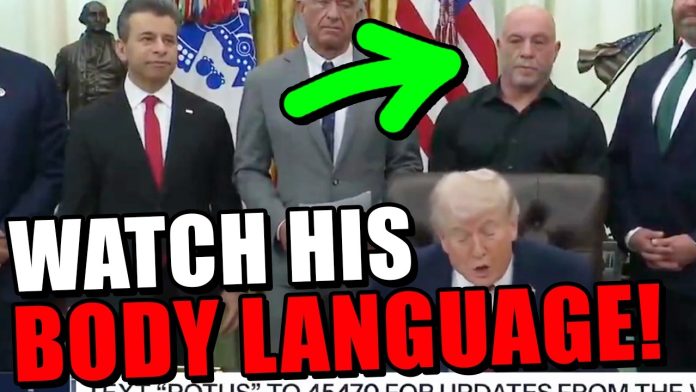 Watch Joe Rogan's reaction as Trump extends an OLIVE BRANCH.