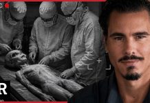 Alien Expert Issues STUNNING News on Bodies Government is Hiding Alien Expert Issues STUNNING News on Bodies Government is Hiding