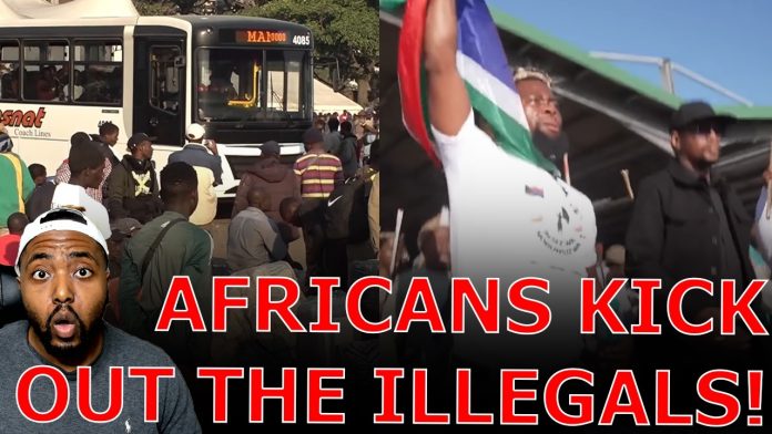 Illegal Immigrants FLEE South Africa IN MASS After BEING FORCED OUT For Stealing Jobs And Welfare!