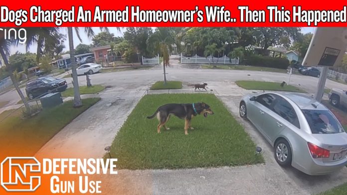 maxresdefault-369 His Wife Was Trapped In The Driveway… Then He Came Back Armed